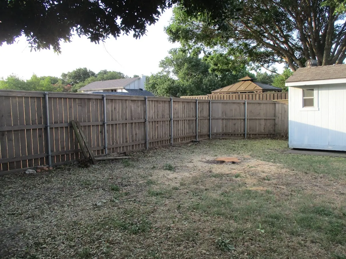 Cleared yard after professional tree removal in Latexo